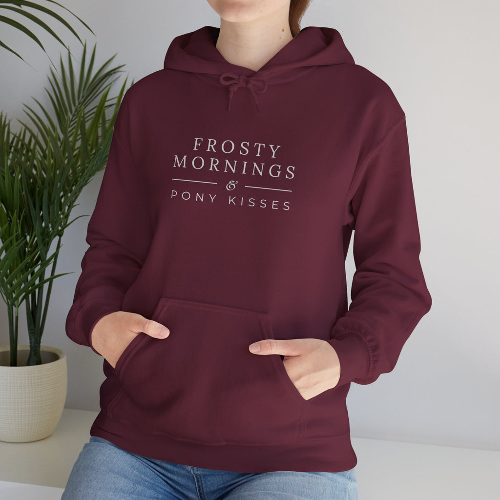 Frosty Mornings & Pony Kisses Equestrian Hoodie