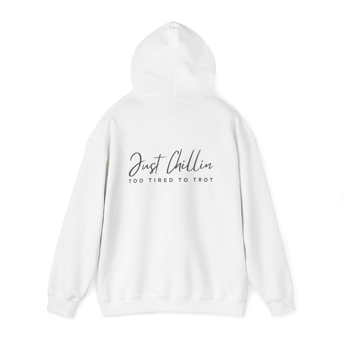 Just Chillin', Too Tired to Trot — Unisex Hoodie