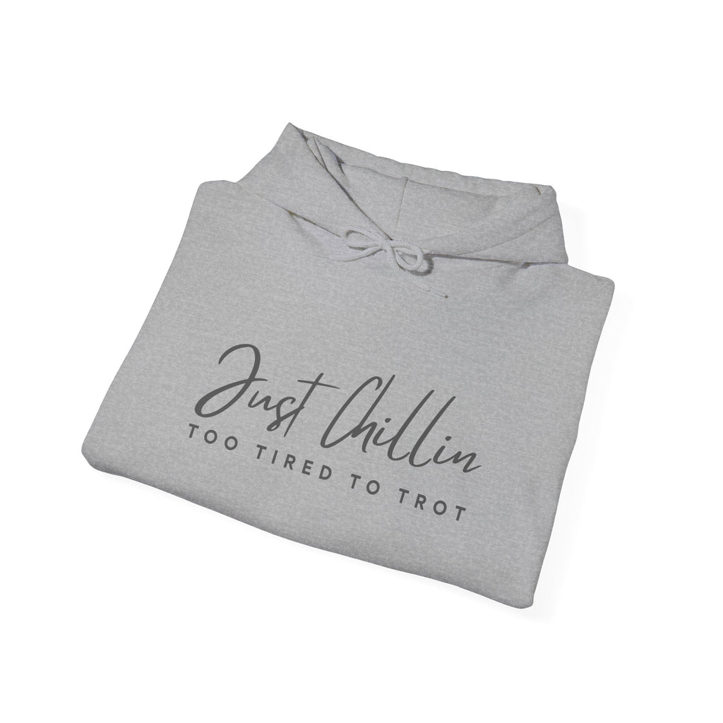 Just Chillin', Too Tired to Trot — Unisex Hoodie