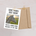 Some Ponies Just Know — Equestrian Greeting Card