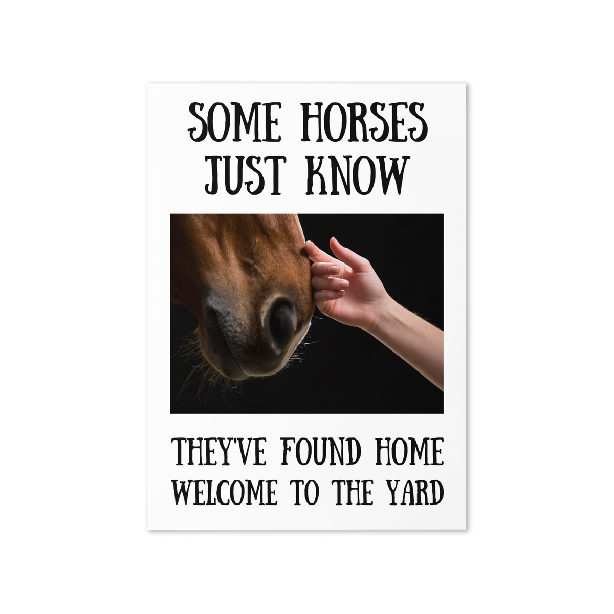 Some Horses Just Know — Equestrian Greeting Card