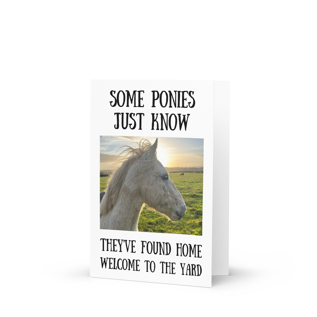 Some Ponies Just Know — Equestrian Greeting Card