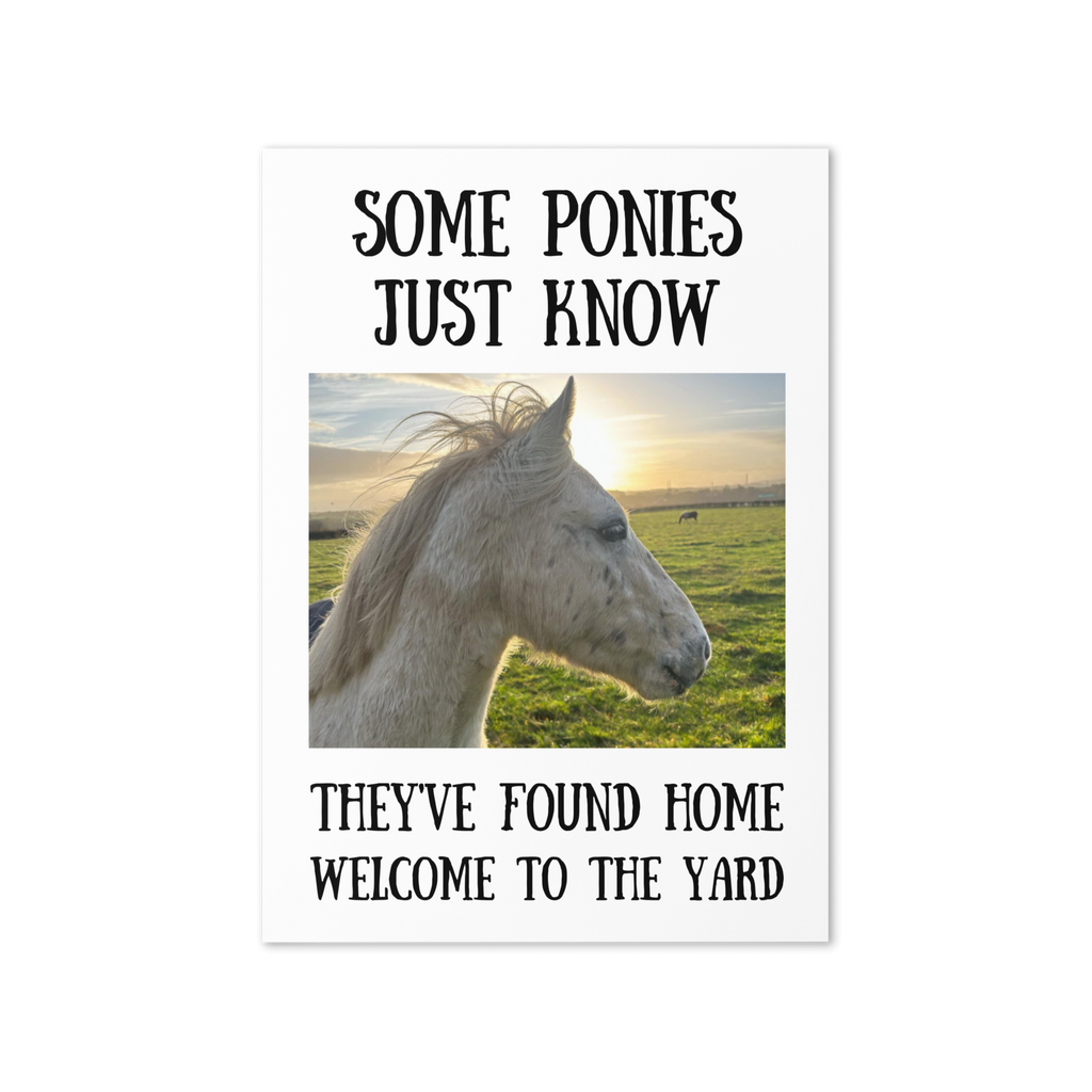 Some Ponies Just Know — Equestrian Greeting Card